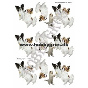 3D-kuva Koirat ja kissa 066283