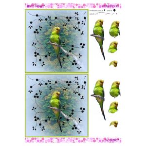 3D-kuva Papukaija 067007