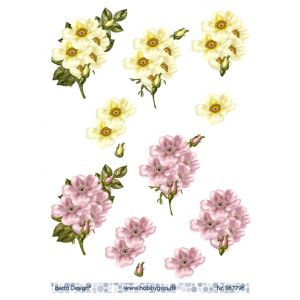 3D-kuva Kukat 067796