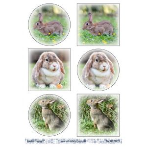 Leikekuva Puput 067903