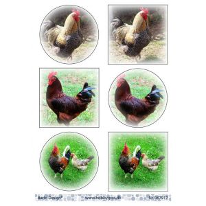 Leikekuva Kukot 067912