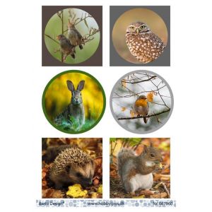 Leikekuva Eläimet 067960