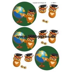 3D-kuva Pöllö Opettaja 068017