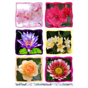 Leikekuva Kukat 069013