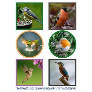 Leikekuva Linnut 069019