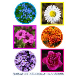 Leikekuva Kukat 069033