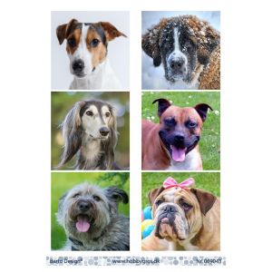 Leikekuva Koirat 069043