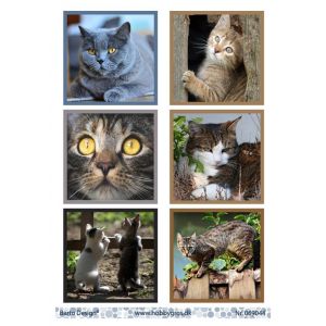 Leikekuva Kissat 069044