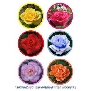 Leikekuva Ruusut 069207