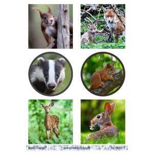 Leikekuva Metsäneläimet 069211