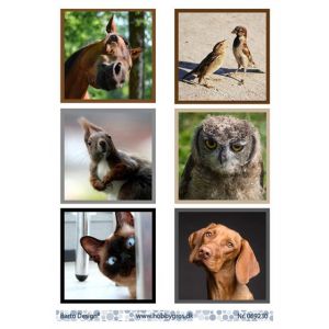 Leikekuva Eläimet 069230