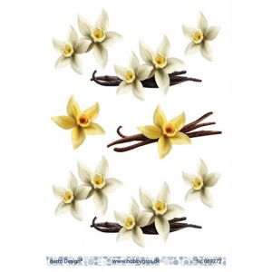 3D-kuva Narsissi 069272