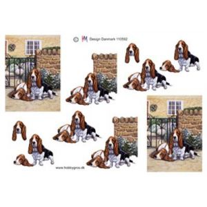3D-Kuva Basset hound 110592