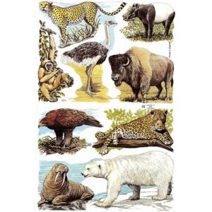 Kiiltokuva Villieläimet 8712927969057