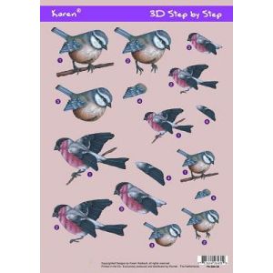 3D-kuva Talvilinnut 8715684164314