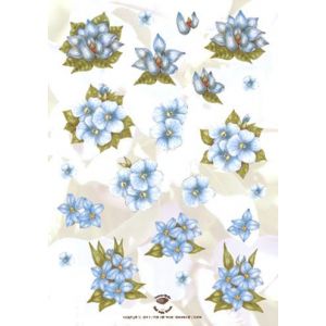 3D-kuva Siniset kukkaset 9789077934920