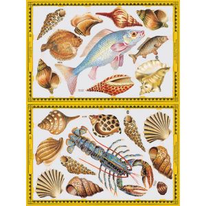 Kiiltokuva Mereneläimet A129-130