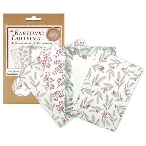 Kartonkilajitelma EKO A6 6417715056033