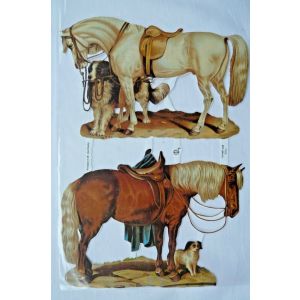 Kiiltokuva Hevoset ef-7088