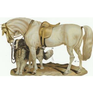 Kiiltokuva Hevonen ja koira ef-7089