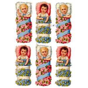 Kiiltokuva Kukkaisvauvat ef-7131