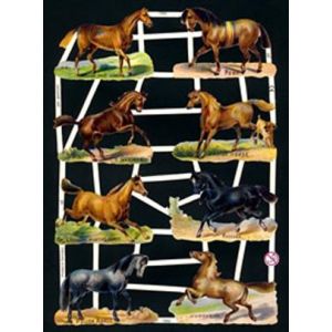 Kiiltokuva Hevoset 7262