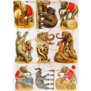 Kiiltokuva Sirkus norsut ef-7428