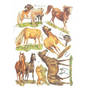 Kiiltokuva Hevoset ef-7199