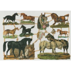 Kiiltokuva Hevoset ef-7226