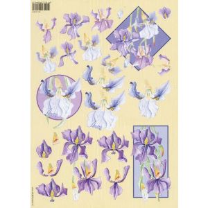 3D-kuva Iris 8716133004472