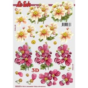 3D-kuva Kosmos kukat 8712927993397