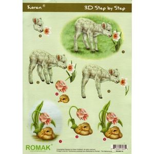 3D-kuva Karitsa 8715684174351