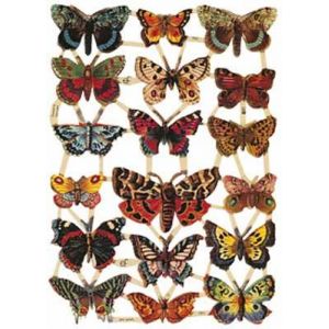 Kiiltokuva Perhoset ef-7221