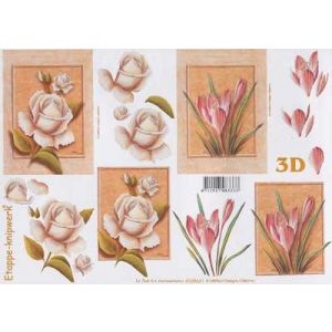 3D-kuva Ruusu ja krookus 8712927083333