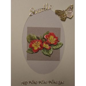 Korttipohja+kuori ovaali aukko