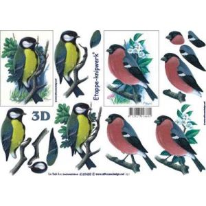 3D-kuva Talitiainen ja punatulkku 8712927018601