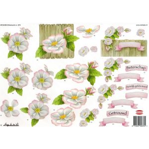 3D-kuva Kukat 8718347058791