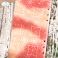 Elizabeth Craft Designs Planner Stencils 810003535610